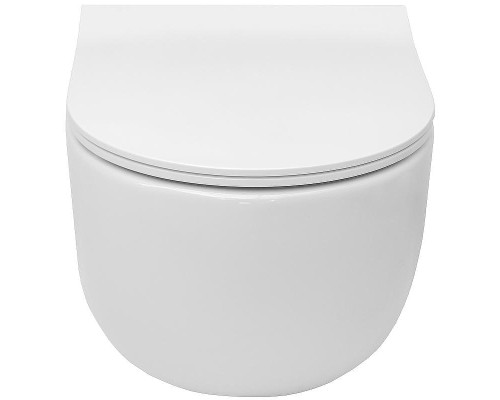 Унитаз Roca Meridian-N Rimless 346244000 подвесной без сиденья