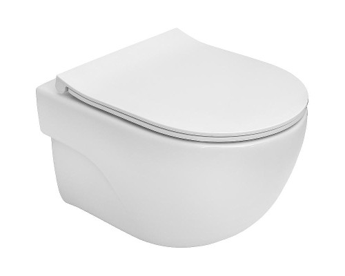 Унитаз Roca Meridian-N Rimless 346244000 подвесной без сиденья