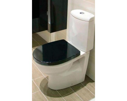 Унитаз компакт Roca Victoria Nord 342ND7000 без бачка и сиденья