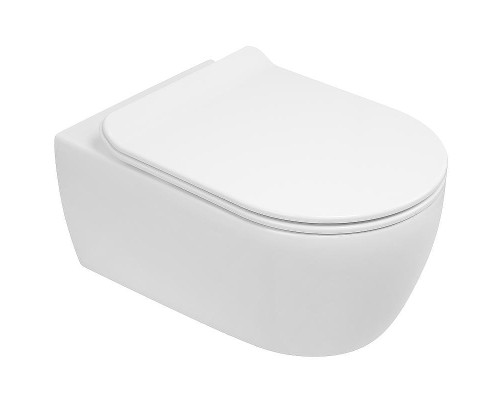 Унитаз SSWW CT2039V подвесной с сиденьем Микролифт