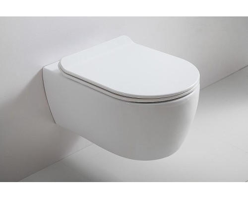 Унитаз SSWW CT2039V подвесной с сиденьем Микролифт