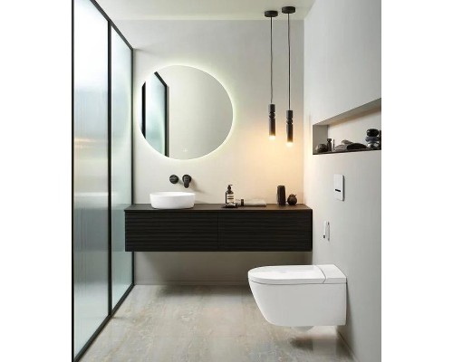 Унитаз биде Villeroy&Boch ViClean V0E200R1 цвет Альпийский белый с сиденьем Микролифт