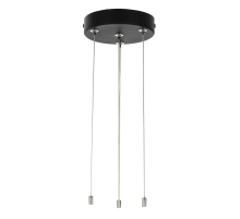 Citilux CL7001 Подвесная арматура Чёрная