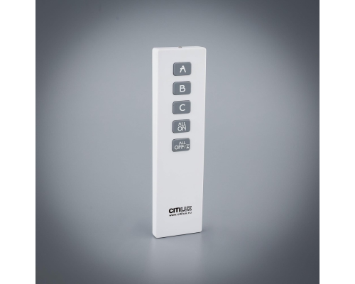Citilux CLR01.3W Пульт с блоком управления Белый