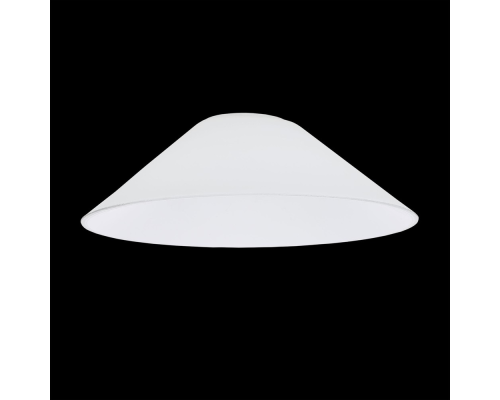 Citilux Эдисон CL450.12 Плафон