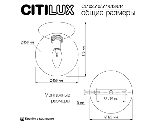 Citilux Томми CL102514 Светильник Матовый Хром
