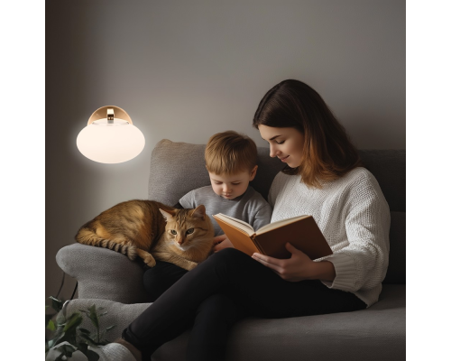 Citilux ATMAN SMART CL226B313 Бра светодиодное Бронза