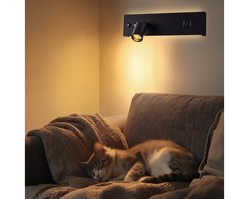 Citilux Декарт CL704461 LED USB Светильник с выключателем Чёрный