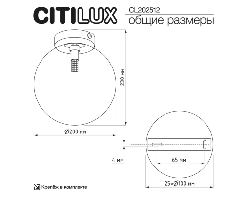 Citilux ORTON CL202512 Светильник Шампань