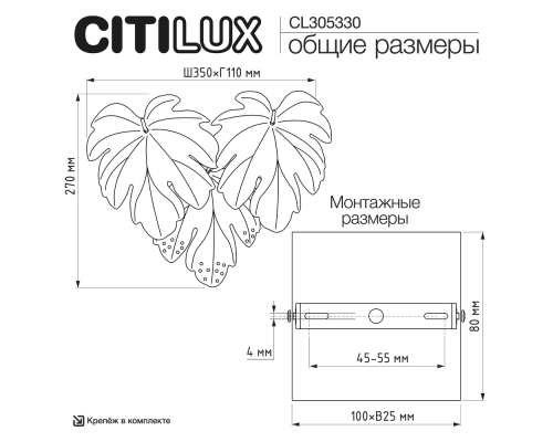 Citilux DRYAD CL305330 Бра