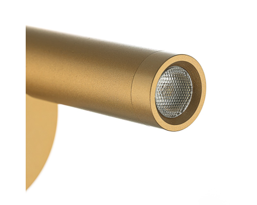 Citilux DEKART CL704102 LED Светильник настеный с выключателем Золото