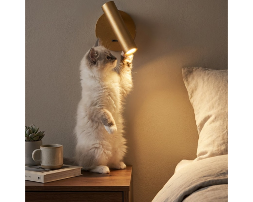 Citilux DEKART CL704102 LED Светильник настеный с выключателем Золото