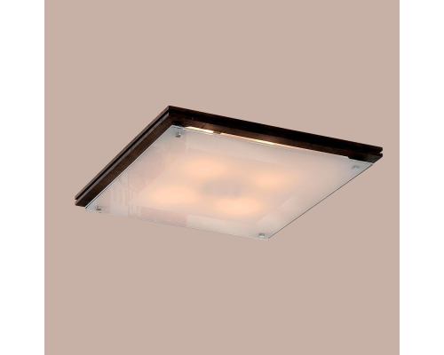 Citilux CL938541 Люстра потолочная Венге Белая