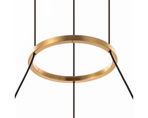 Citilux HELLY CL211042 Подвесная светодиодная люстра