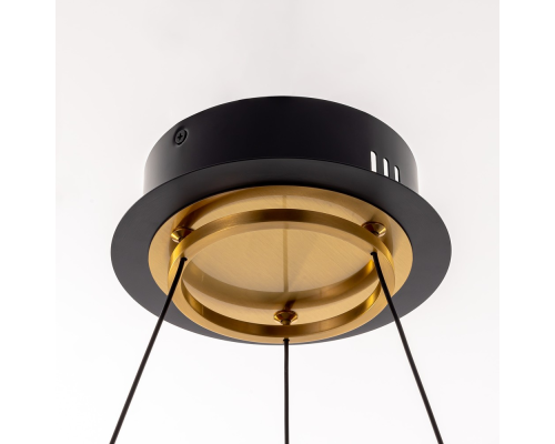 Citilux HELLY CL211062 Подвесная светодиодная люстра