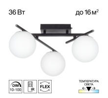 Citilux DORSY CL223132 LED Люстра поворотная Чёрная