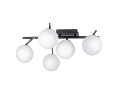 Citilux DORSY CL223152 LED Люстра поворотная Чёрная