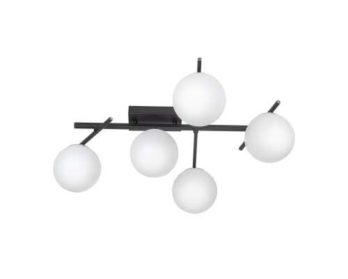 Citilux DORSY CL223152 LED Люстра поворотная Чёрная