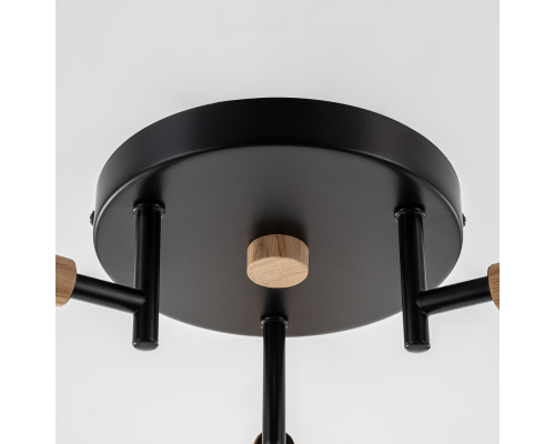 Citilux TIKA CL133131 Люстра поворотная Чёрная