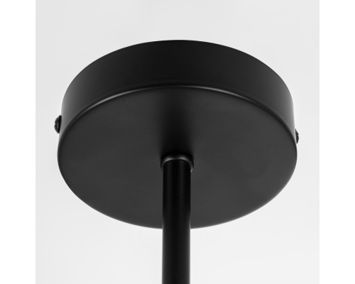 Citilux FISHER CL218163 Люстра на штанге