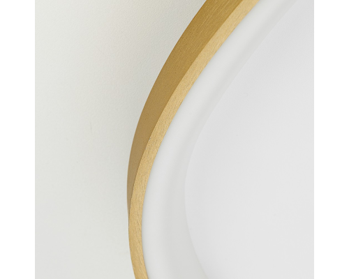 Citilux GENKA SMART CL756A162 LED RGB Умная люстра