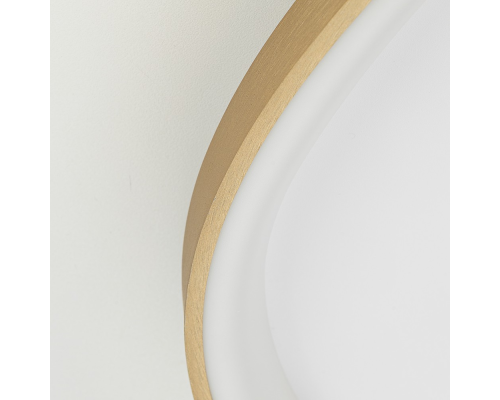 Citilux GENKA SMART CL756A162 LED RGB Умная люстра