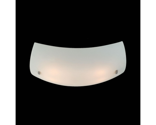 Citilux CL934011 Светильник потолочный Белый