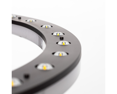 Citilux Электрон CL710B65S Люстра подвесная с пультом Венге