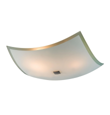 Citilux CL932021 Светильник потолочный Лайн