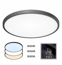 Citilux Бейсик CL738401V Светильник накладной Чёрный