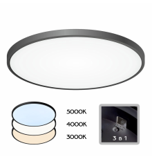 Citilux Бейсик CL738501V Светильник накладной Чёрный