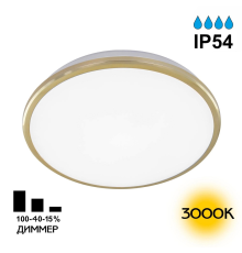 Citilux Луна CL702222W LED Светильник с диммером Золото