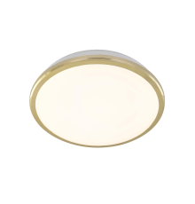 Citilux Луна CL702162W LED Светильник с диммером Золото