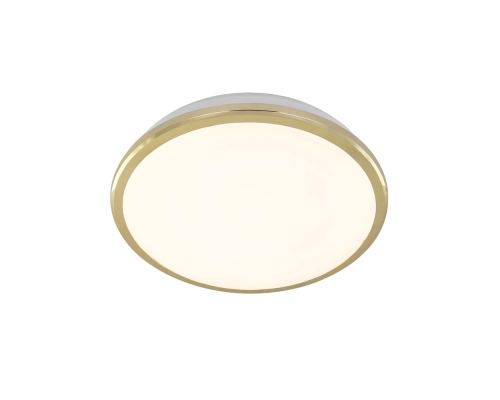 Citilux Луна CL702162W LED Светильник с диммером Золото