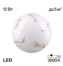 Citilux CL918009 Светильник светодиодный Ива