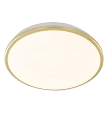 Citilux Луна CL702302W LED Светильник с диммером Золото