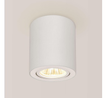 Citilux Дюрен CL538111 Светильник накладной поворотный Белый