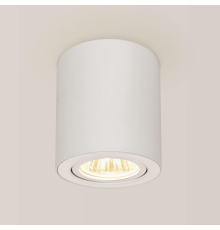 Citilux Дюрен CL538111 Светильник накладной поворотный Белый