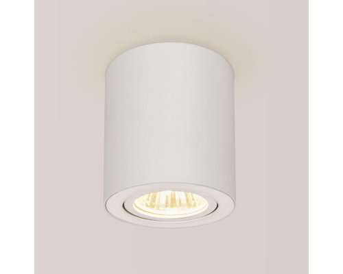 Citilux Дюрен CL538111 Светильник накладной поворотный Белый