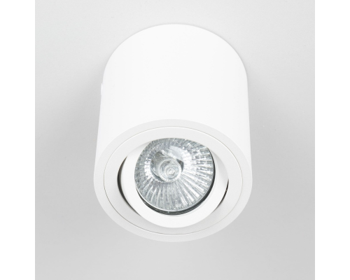 Citilux Дюрен CL538111 Светильник накладной поворотный Белый