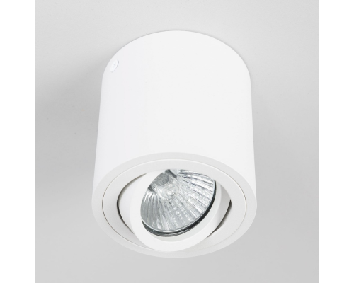 Citilux Дюрен CL538111 Светильник накладной поворотный Белый