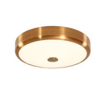 Citilux Фостер-1 CL706132 LED Светильник с диммером Бронза