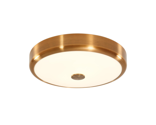 Citilux Фостер-1 CL706132 LED Светильник с диммером Бронза