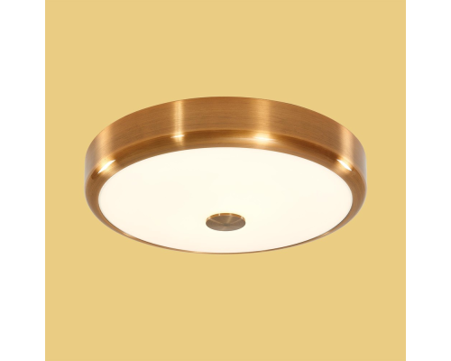 Citilux Фостер-1 CL706132 LED Светильник с диммером Бронза