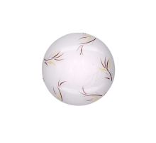 Citilux CL917009 Светильник светодиодный Ива