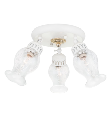 Citilux Метафора CL413132 Светильник с поворотными плафонами