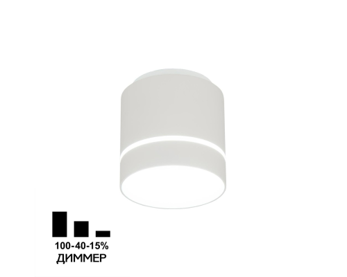 Citilux Борн CL745010N LED Светильник накладной Белый