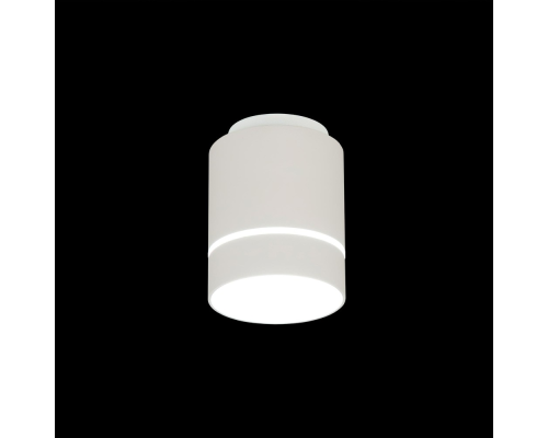 Citilux Борн CL745010N LED Светильник накладной Белый