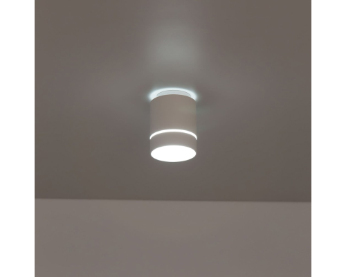 Citilux Борн CL745010N LED Светильник накладной Белый