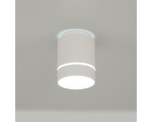 Citilux Борн CL745010N LED Светильник накладной Белый